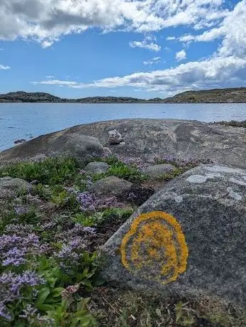 Photo de Brännholmsviken