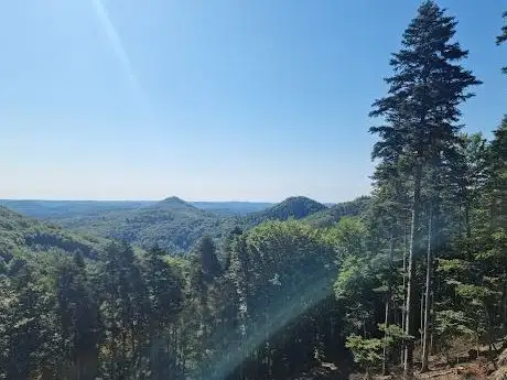 Photo de Aussichtsplattform Hermersbergerhof Pfälzerwald