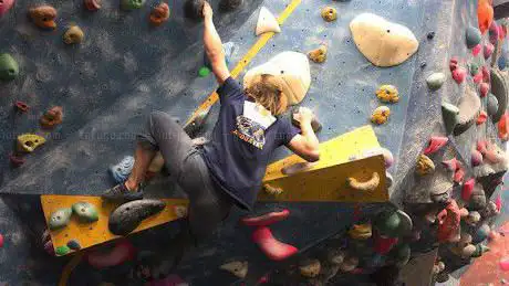 Photo of Yellow Spider Climbing