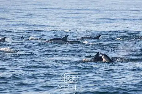 Photo de AlgarExperience Enjoy the Sea