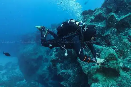 Photo de Dive Tenerife