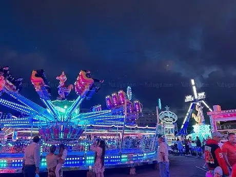 Photo de Festas de Tires (Santo António)