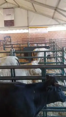 Photo de Biomasa El Huerto