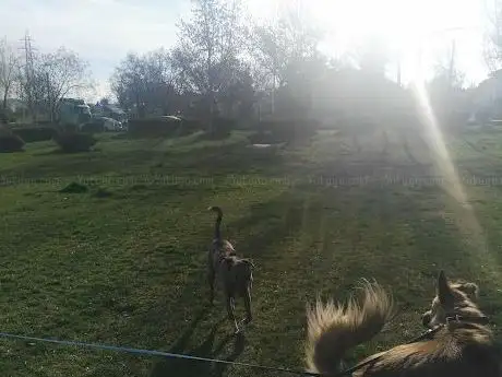 Photo de Kütükçü Alibeyler Park