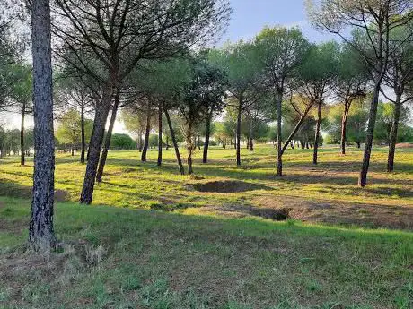Photo de Parque de los Alcornoques