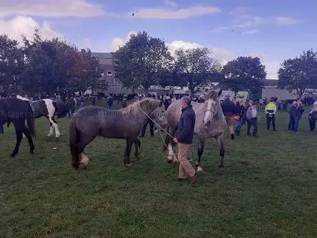 Photo de Fair Green Ballinasloe