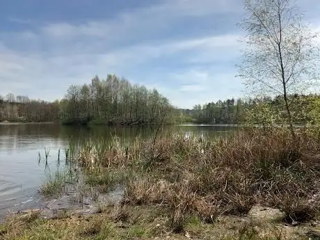 Photo de Wald Biesern
