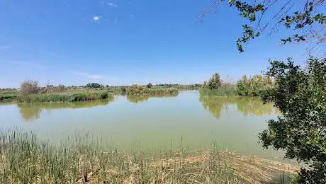 Photo de Punt D'observació Ocells