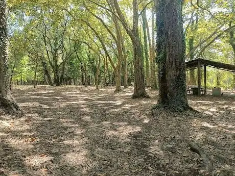 Photo de Parque de Merendas do Cabecinho