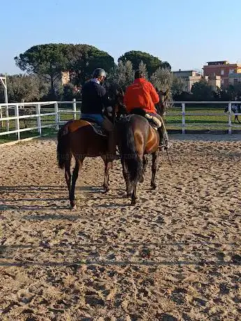 Photo de ASD PIERANTOZZI HORSES