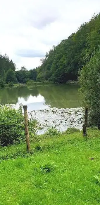 Photo de Becherbach Weiher