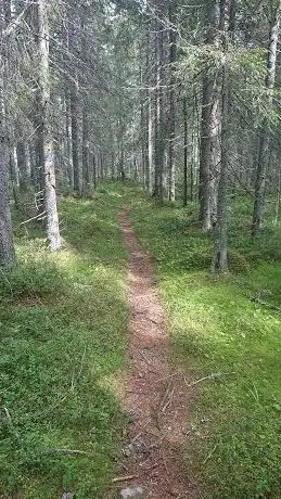 Photo de Rigåsens naturreservat