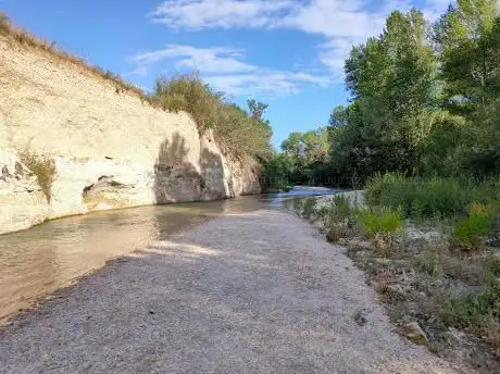 Photo de Foresta Fossile