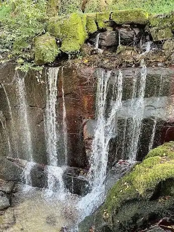Photo de Passadiços da cascata do Fojo