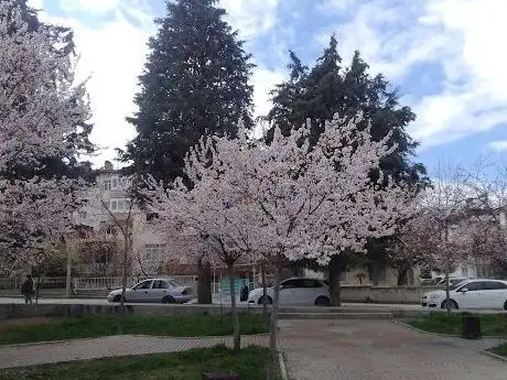Photo de Ali Sami Yen Park
