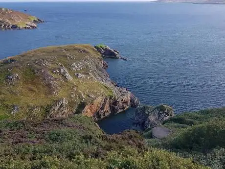 Reel Irish Music Tours