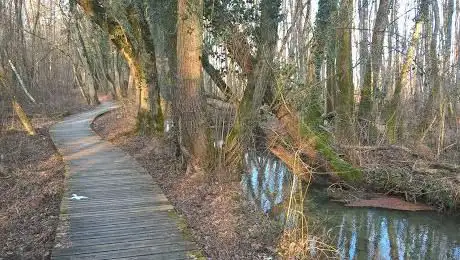 Photo de Espace Naturel Sensible des marais de la Versoix