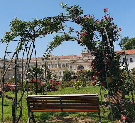 Photo de Roseto 'Niso Fumagalli'