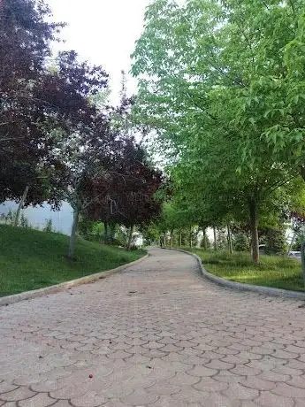 Photo de Satranç Parkı