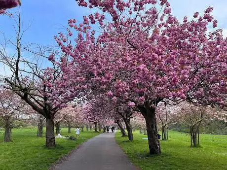 Photo de Wavertree Park Garden Edge Ln