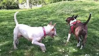 Photo de Parc du Clos Saint-Antoine