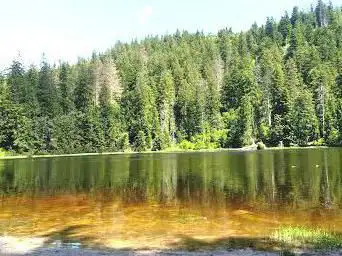 Photo de Nature reserve Wilder See - Hornisgrinde
