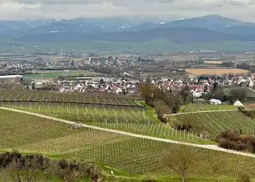Photo de Aussichtspunkt Lindenberg