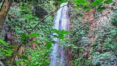 Photo de Gizlikent Şelalesi
