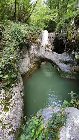Photo de KrÄnik Natural Monument
