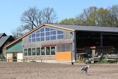 Photo de Reitanlage & Gestüt Heseberg