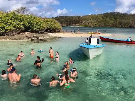 Photo de Catamaran Bwa Drese Martinique