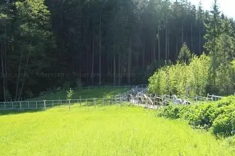 Photo de Trailstable