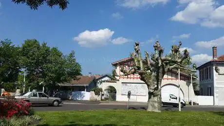 Photo de Office de Tourisme de Sanguinet