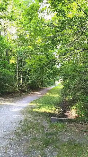 Photo de Corbiac Woods