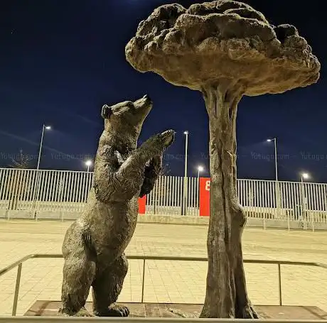 Photo de El Oso y el Madroño
