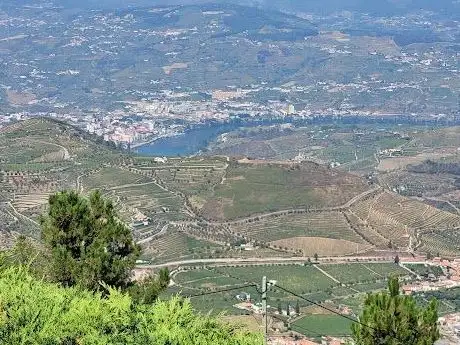 Photo de Miradouro de São Domingos