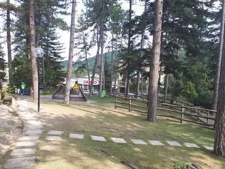 Photo de Parco Pineta