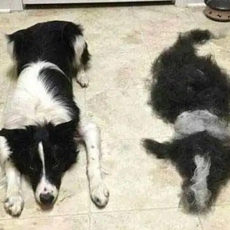 Photo de Spielplatz Hermann-Prüßman-Weg