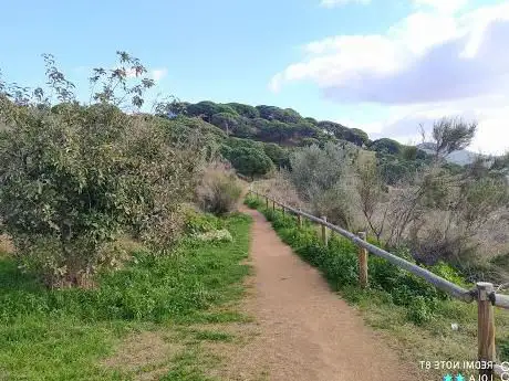 Photo de Turó de Cerdanyola
