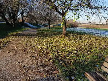 Photo de Oasi dei Gelsi
