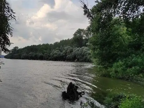 Photo de Natural Monument Ivanovacka Ada