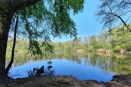 Photo de Karauschenweiher