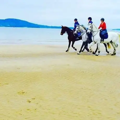 Crana Stables