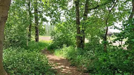 Photo de smisjesbos