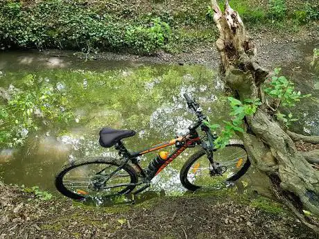 Photo de Hatch Forest
