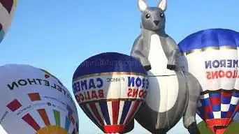 Photo de Cameron Balloons France