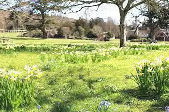 Photo de West Dean Gardens