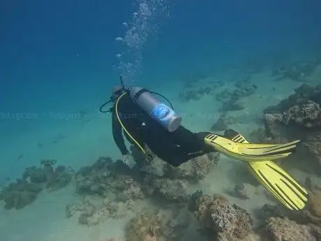 Photo de First Moon Diving Centre