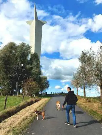 Photo de De Sjouwer