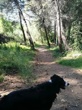 Photo de Pineta di San Donato